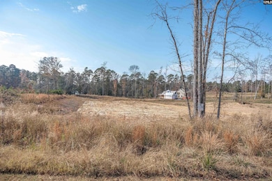 LOT 229 Lands End Ln, Prosperity, SC 29127 - photo 4
