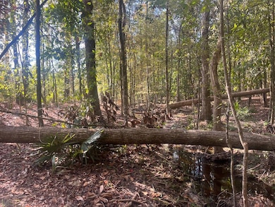 TBD Pulaski Dr E, Hampton, SC 29924 - photo 6