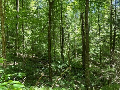 View of mother earth's splendor