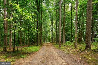 22282 Monrovia Rd, Orange, VA 22960 - photo 3