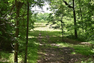 4630 Mccracken Rd, Hernando, MS 38632 - photo 3