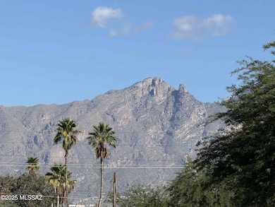 2718 N Haskell Dr unit 1, Tucson, AZ 85716 - photo 6