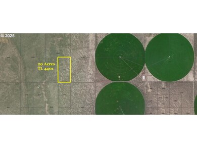 0 Off Rolfs Point Rd unit TL 4401 239674443, Christmas Valley, OR 97641 - photo 5