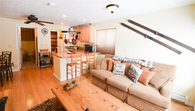 414 Tenderfoot St unit 9, Dillon, CO 80435 - photo 3