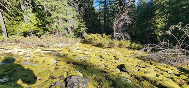 30225 Chintzy Ln, Bigfork, MT 59911 - photo 3