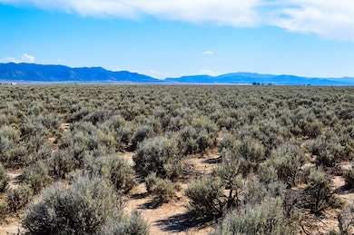 2.27 ACRES E-1390-0081-0000, Beryl, UT 84714 - photo 7