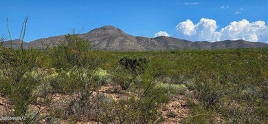 TBD E Beech Craft Blvd, Bisbee, AZ 85603 - photo 2