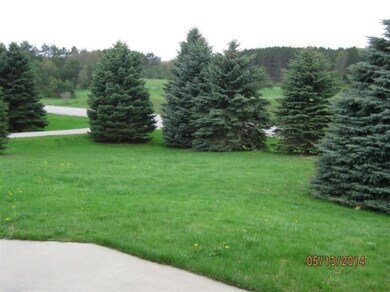 2910 220th Ave, Reed City, MI 49677 - photo 6