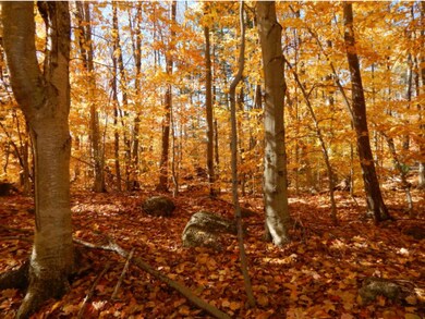 3 Old Post Rd, Newbury, NH 03255 - photo 6