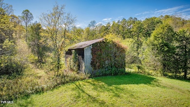 413 Willow Branch Rd, Bristol, VA 24202 - photo 7