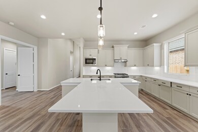 10746 Chinese Violet, Conroe, TX 77385 - photo 6