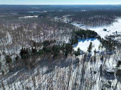 0598 Magee Rd S, Boyne Falls, MI 49713 - photo 4