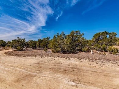 View of local wilderness