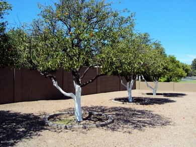 Fruit Trees