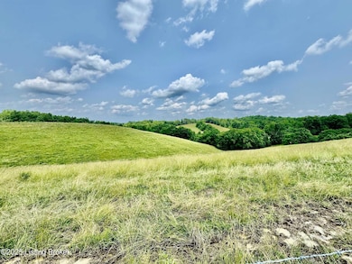 3650 Baker Ridge Rd, Willisburg, KY 40078 - photo 4