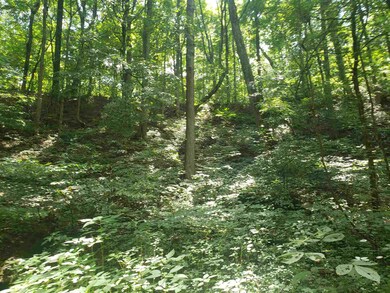 0 Houghton Ln unit 201936061, Loogootee, IN 47553 - photo 5