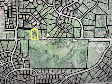 248 W. Aerial with Farm.