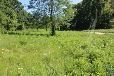 0 Hidden Valley Dr N, Omaha, AR 72662 - photo 5