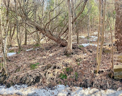 17 A St, North Adams, MA 01247 - photo 2