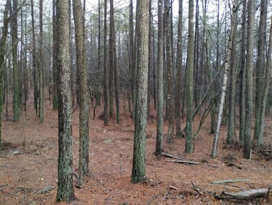 000 Walt Maddron Rd, Cohutta, GA 30710 - photo 4