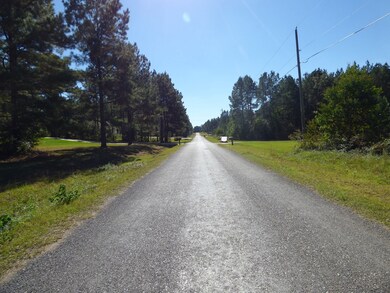 1027 Deer Ridge Rd, McComb, MS 39648 - photo 5