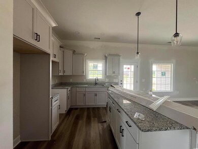 8233 Kerl Rd unit Lot 3 - Live Oak, Conway, SC 29526 - photo 5