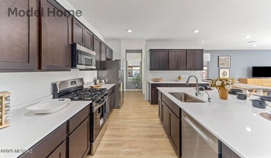 13305 N Old Forester Dr, Marana, AZ 85653 - photo 6