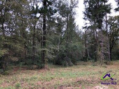 0 Wood Oak Cir unit 233873, Cochran, GA 31014 - photo 6