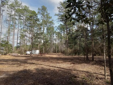 Jones J W Hollington