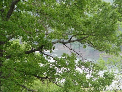 Look closely!!!! See the boat dock.......