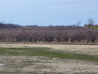 0 72nd St unit 25012219, Covert, MI 49043 - photo 3