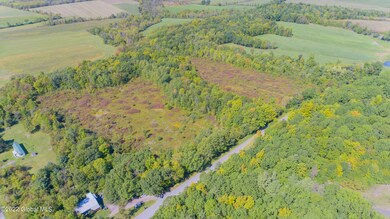 Aerial 3