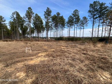 3203 Armstrong Ferry Rd, Decatur, TN 37322 - photo 4