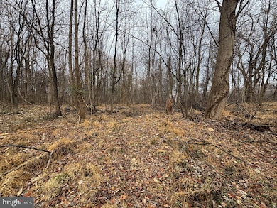 0 Peach Tree Rd unit MDMC2210762, Dickerson, MD 20842 - photo 6