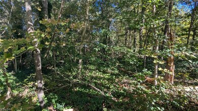 Lot 9 Curtis St, Ramseur, NC 27316 - photo 3