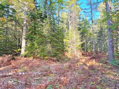 LOT 7 Third Creek Subdivision, Paradise, MI 49768 - photo 7