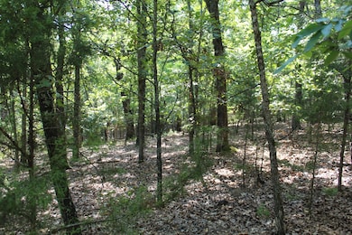 Lot 41-6