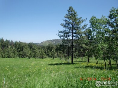 0 Davis Ranch Rd unit 737586, Bellvue, CO 80512 - photo 7