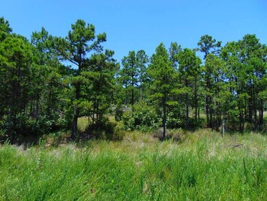 tbd Peach Creek Rd, Fan, OK 74935 - photo 7
