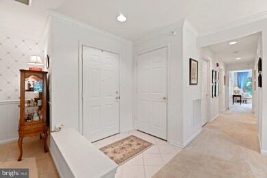 12030 Tralee Rd unit 405, Lutherville Timonium, MD 21093 - photo 2