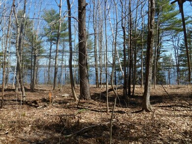 0 Muddy River Ln, Bowdoinham, ME 04008 - photo 4