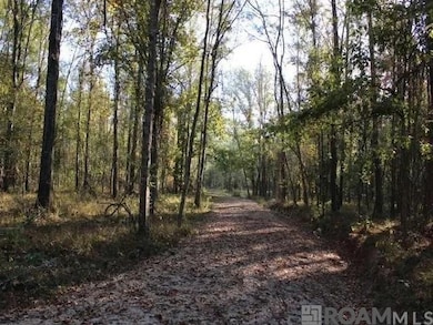 28545 Coker Vail Rd N, Holden, LA 70744 - photo 3
