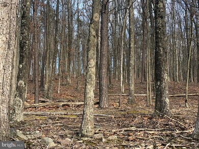 0 Little Cacapon Mountain, Gore, WV 26704 - photo 3