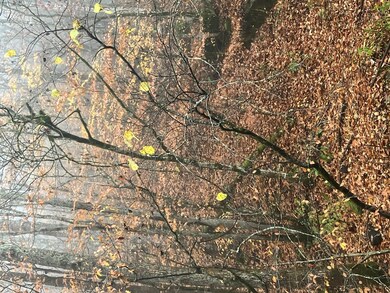 00 Hunter Branch Rd, Garrett, KY 41630 - photo 4