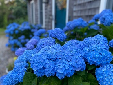 130 Helm Rd, Eastham, MA 02642 - photo 2