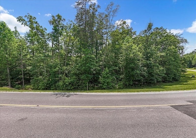 2795 Raulston Falls Rd, Jasper, TN 37347 - photo 5