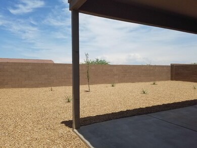 987 Backyard