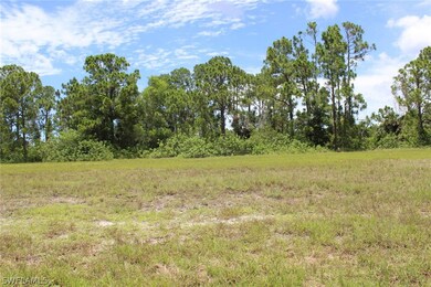 39 Wilmington Pkwy, Cape Coral, FL 33993 - photo 2