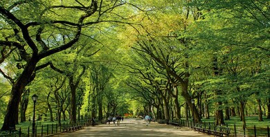 unlisted-address, New York, NY 10019 - photo 6