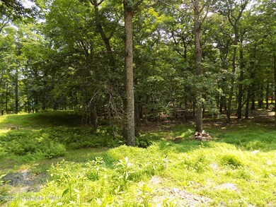 181 Mockingbird Ct, Bushkill, PA 18324 - photo 5